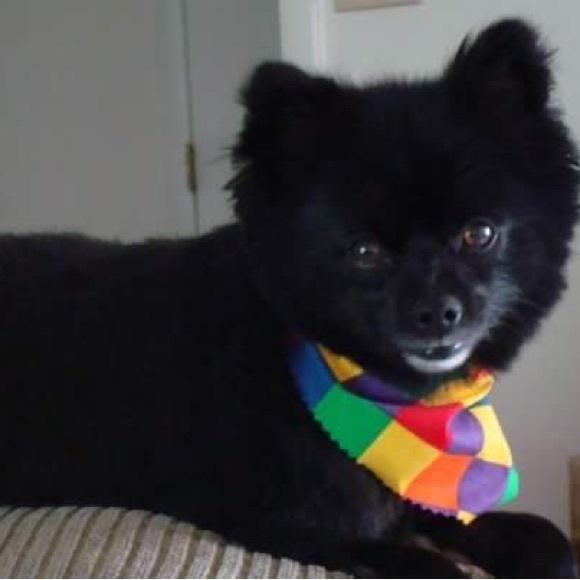 I am live, come hang out!!! - Picture 5 of 7